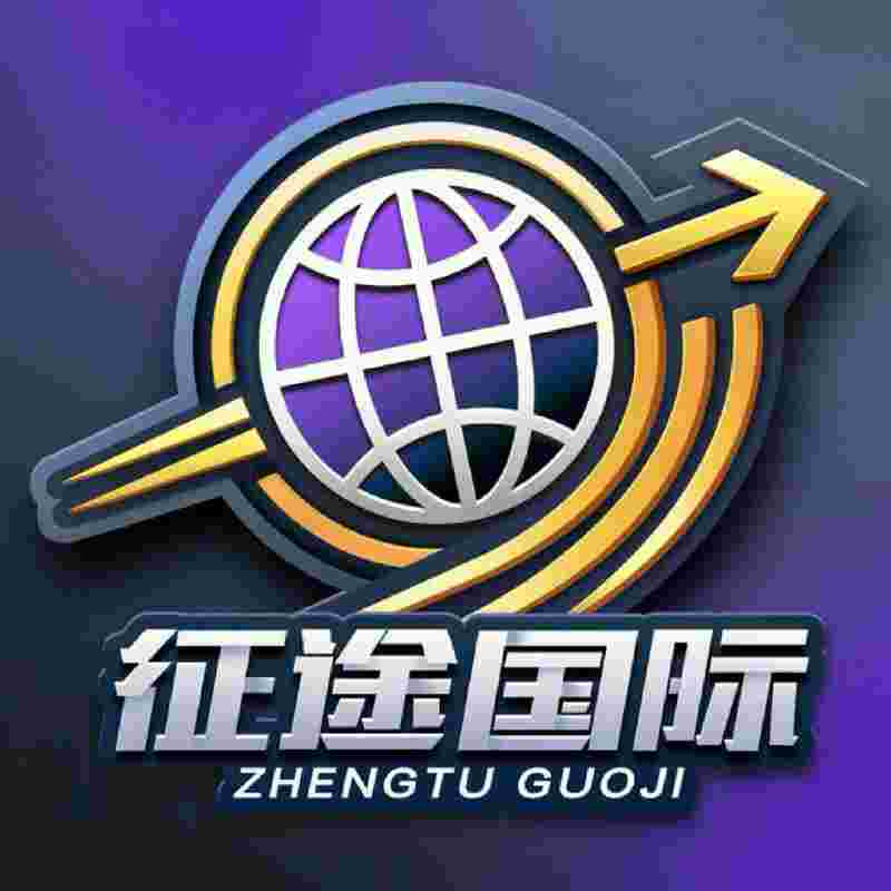 征途国际